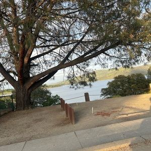 Meet your Posher, Rosa